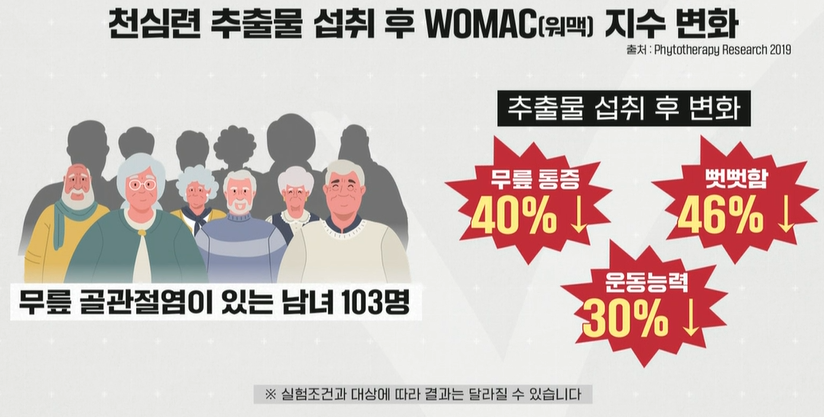 천심련 효능