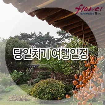 대구 겨울 가볼만한곳을 상세히 알아보기 여행 자료집_12