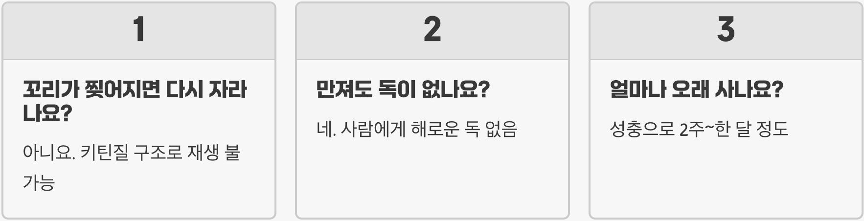 제비나비 특징 꼬리처럼 길게 뻗은 뒷날개가 매력적인 나비의 외형적 포인트