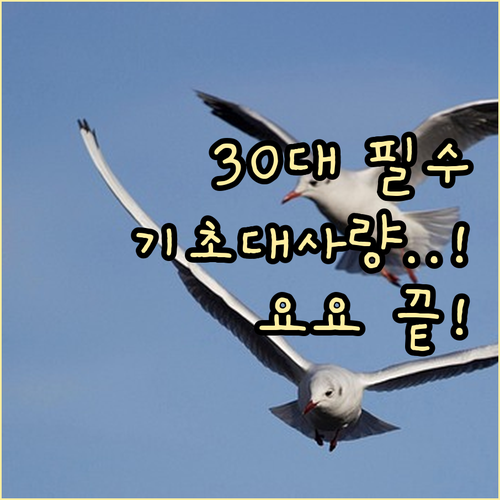 기초대사량 높이는 30대 여성 식단 ..