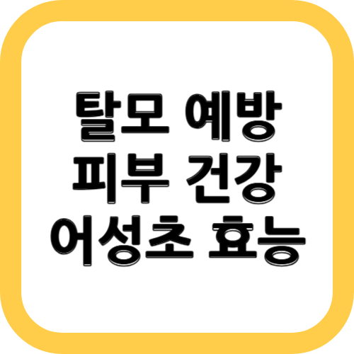 어성초 효능