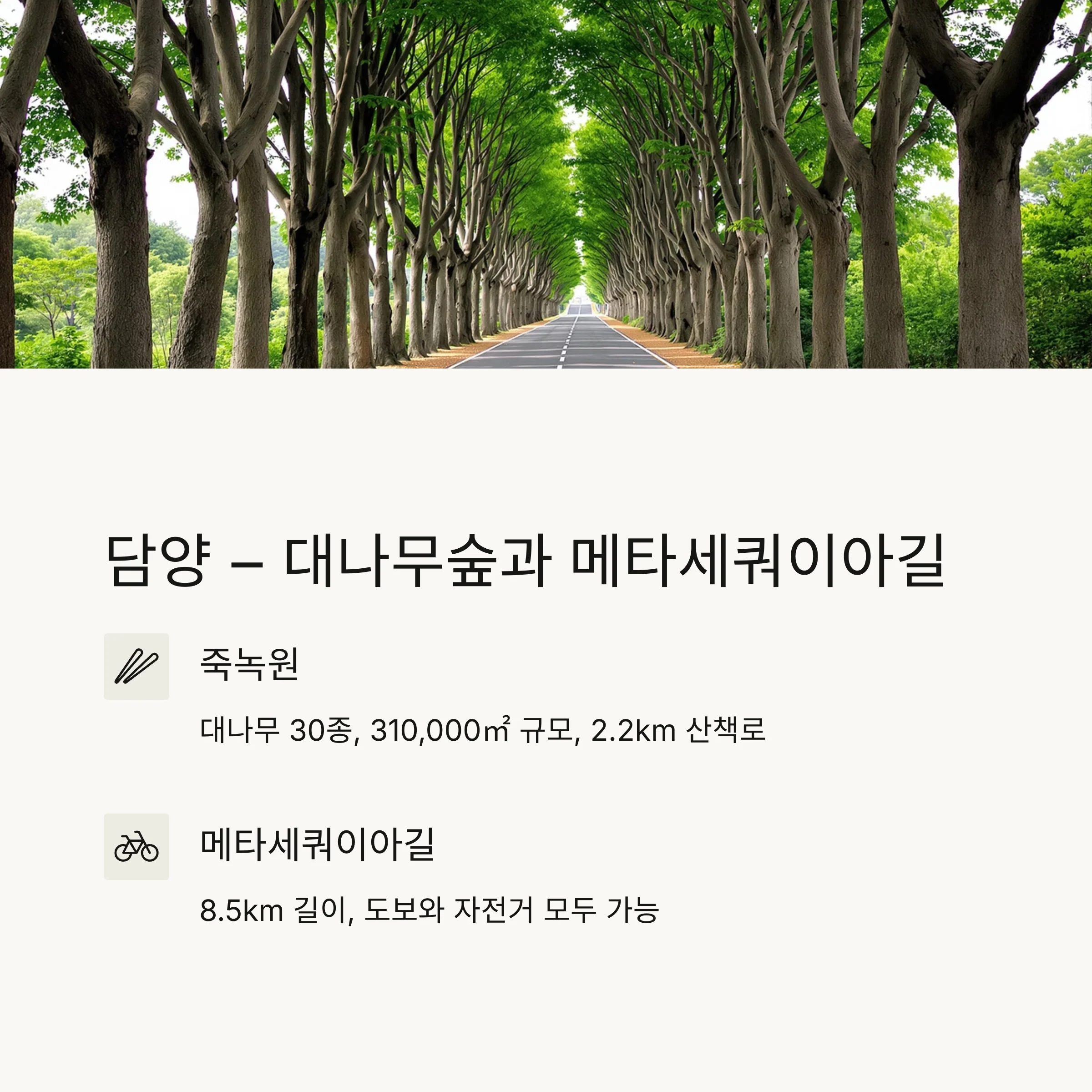 연차 없이 떠나는 1박 2일 국내 힐링 여행