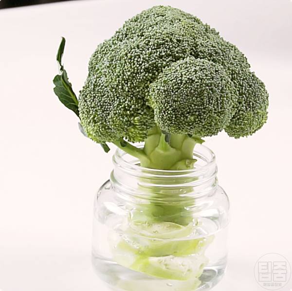 브로콜리 보관법 보관기간