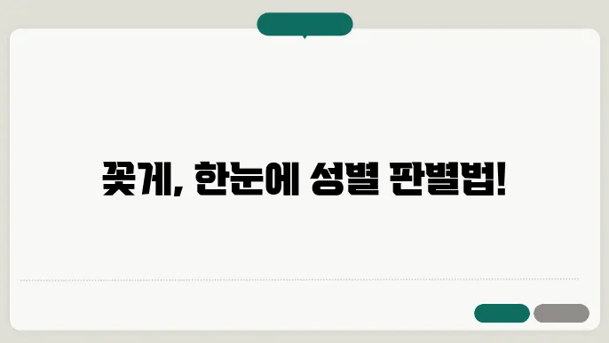 꽃게 암수구별
