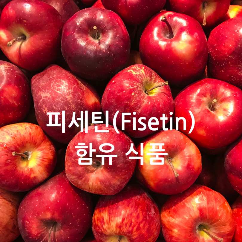 좀비세포 제거 음식 BEST 5