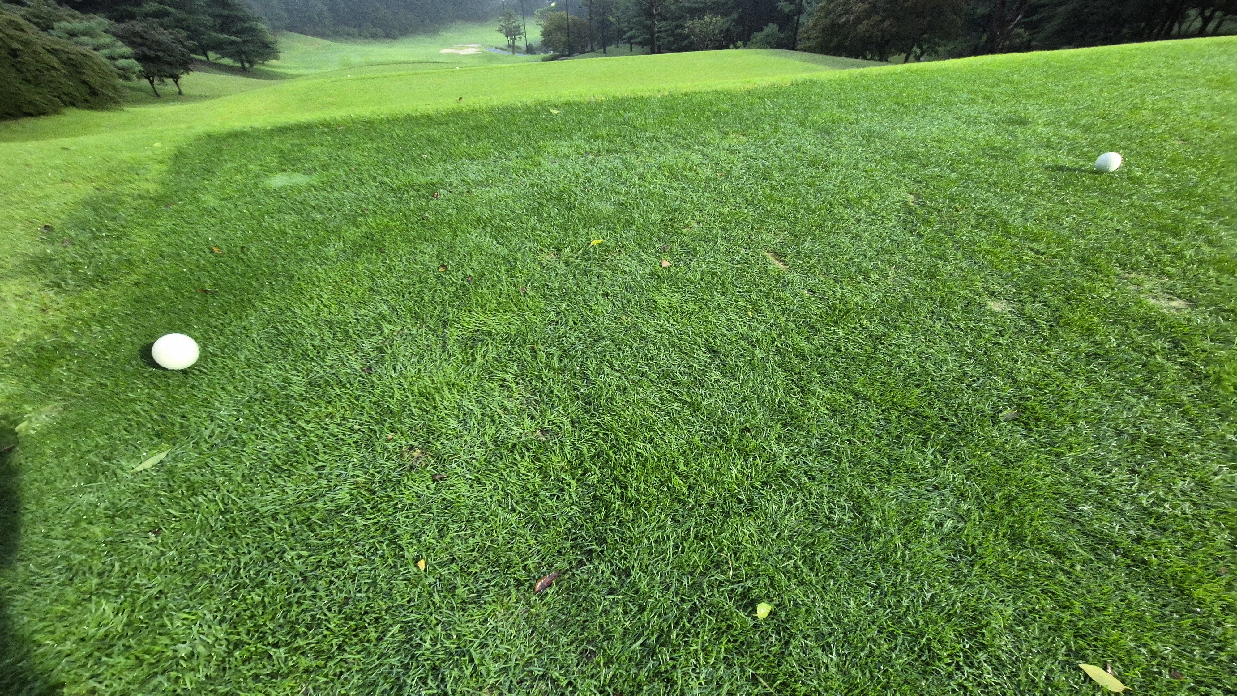 블루원용인cc 티잉구역상태