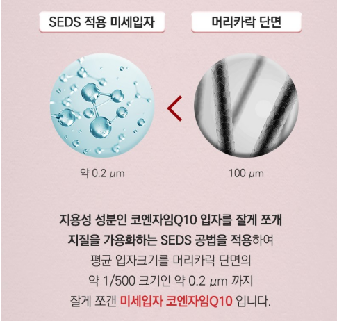 손가락 위에 올린 작고 매끄러운 뉴트리코어 하이퍼셀 코엔자임 Q10 캡슐. 아침 컨디션을 위해 섭취하는 모습을 담은 고해상도 이미지입니다.