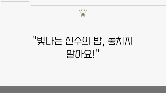 진주유등축제의 전경