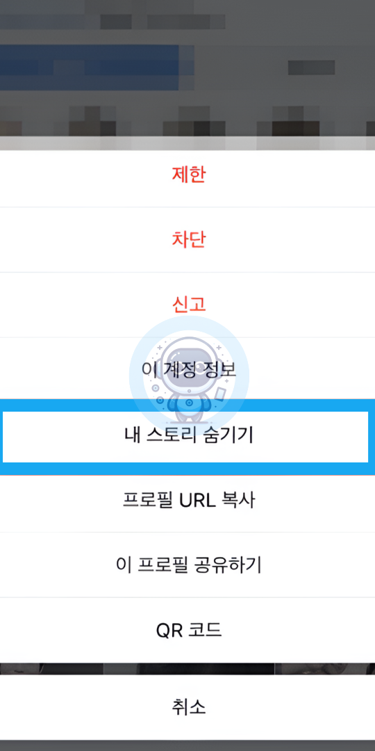 스토리 숨김