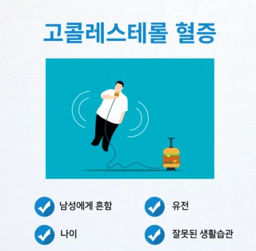 고콜레스테롤혈증