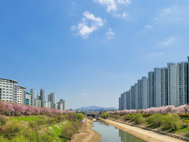 2024 은행별 전세자금대출 금리비교 총 정리 