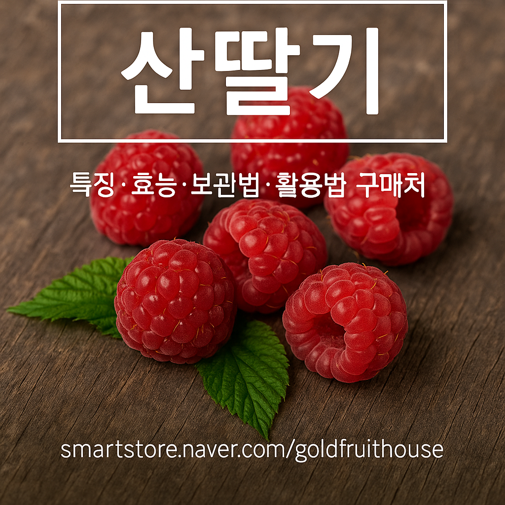 요즘 뜨는 산딸기 관련 사진 자료