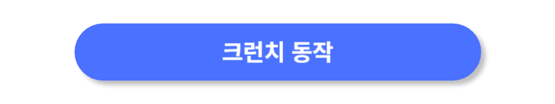 버튼