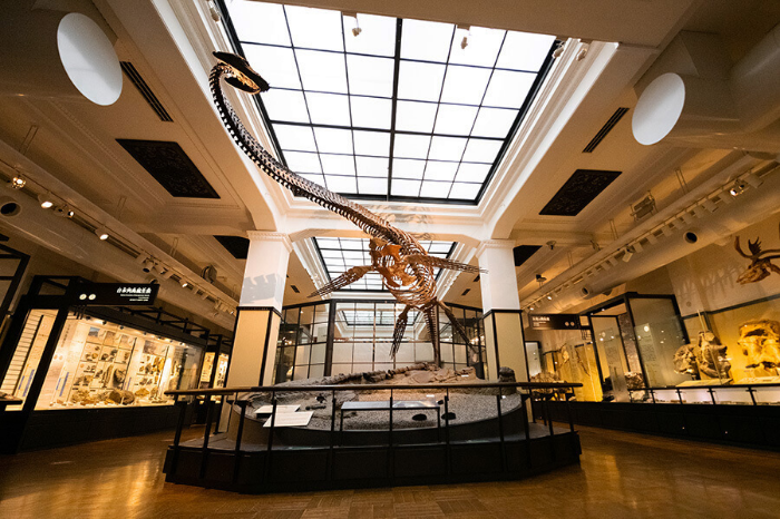 국립과학박물관1