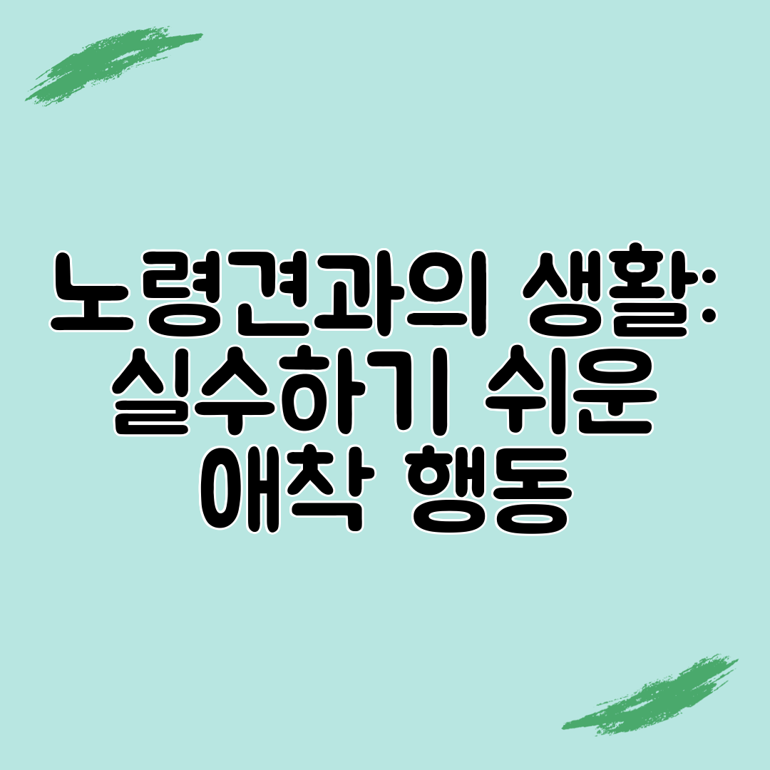 노령견과의 생활 실수하기 쉬운 애착 행동