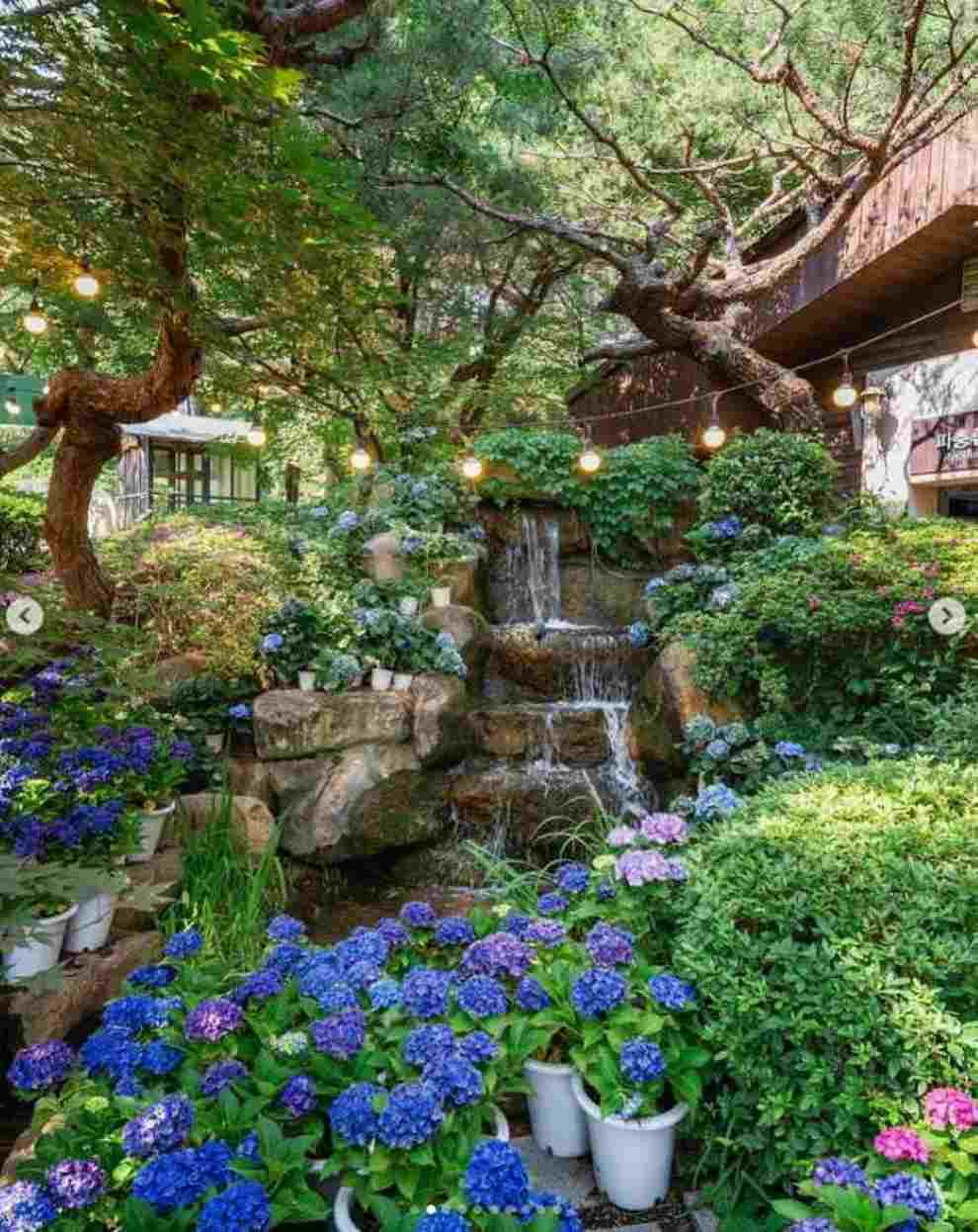 이월드 퍼플 아일랜드