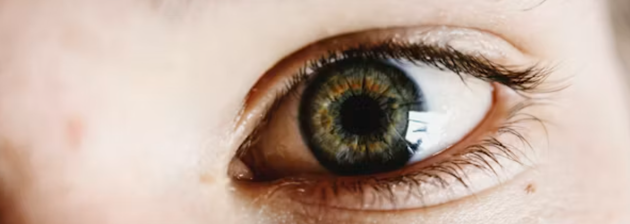 눈 건강 예방 생활 수칙