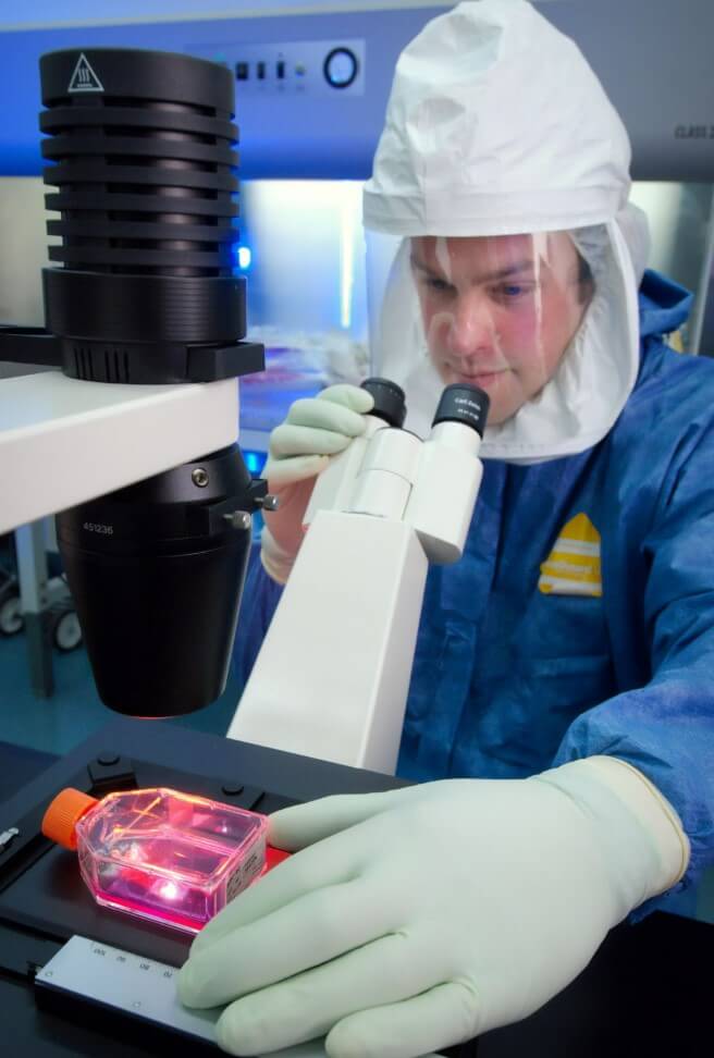 재생의학과 줄기세포 치료의 최신 동향: 혁신이 만들어내는 미래 의료