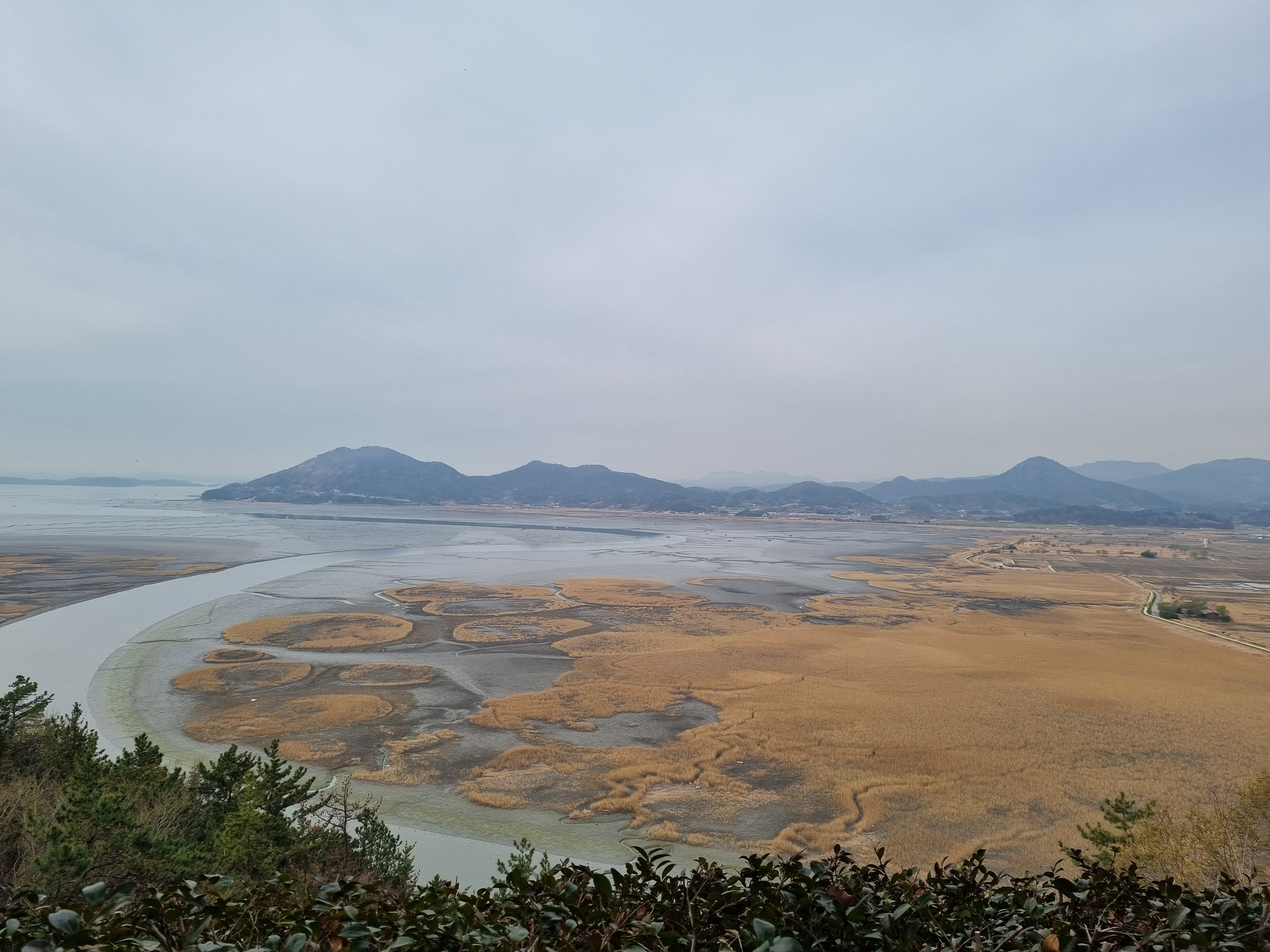 순천만 습지 사진(24.4)