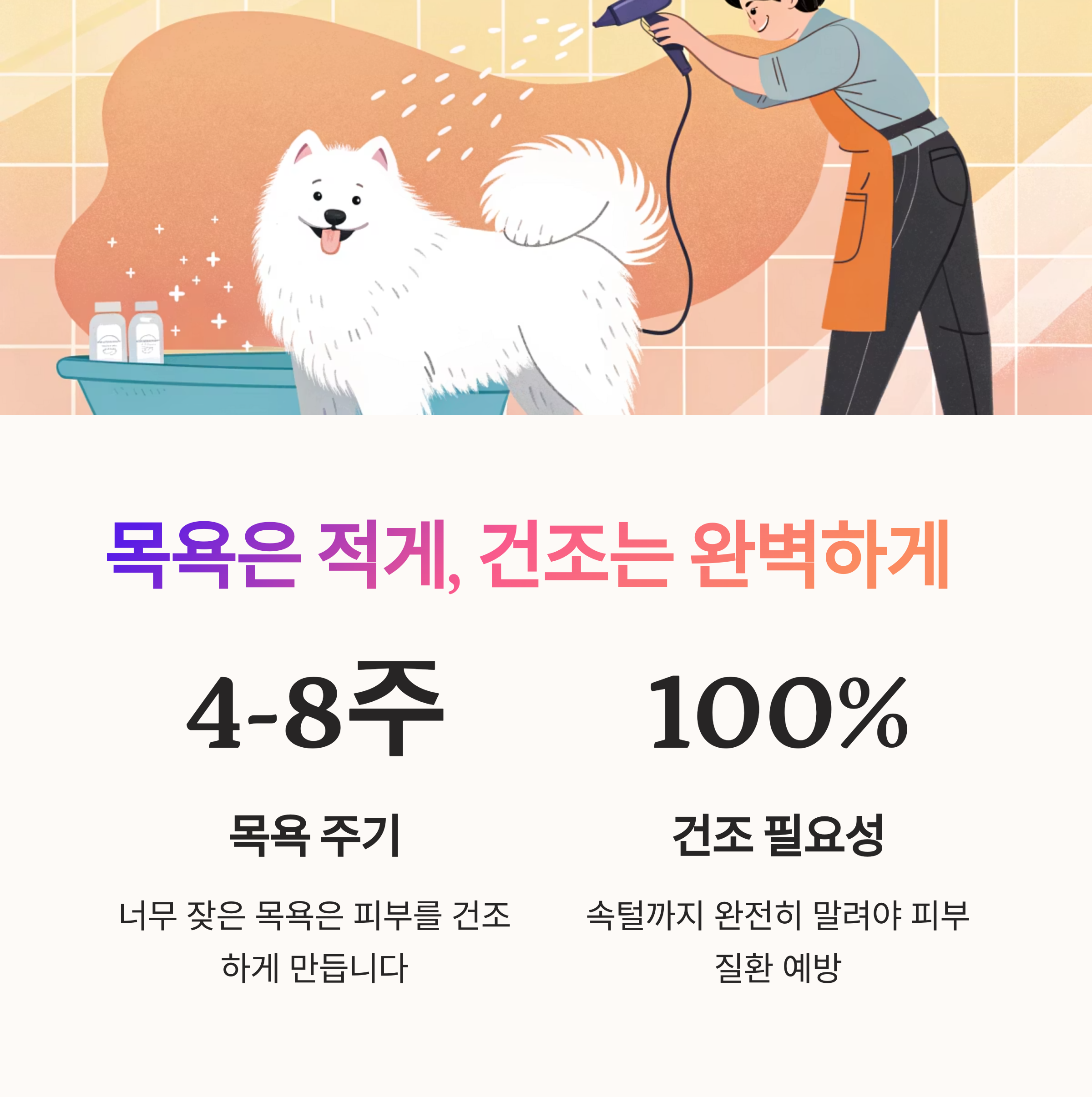 목욕은 적게, 건조는 완벽하게