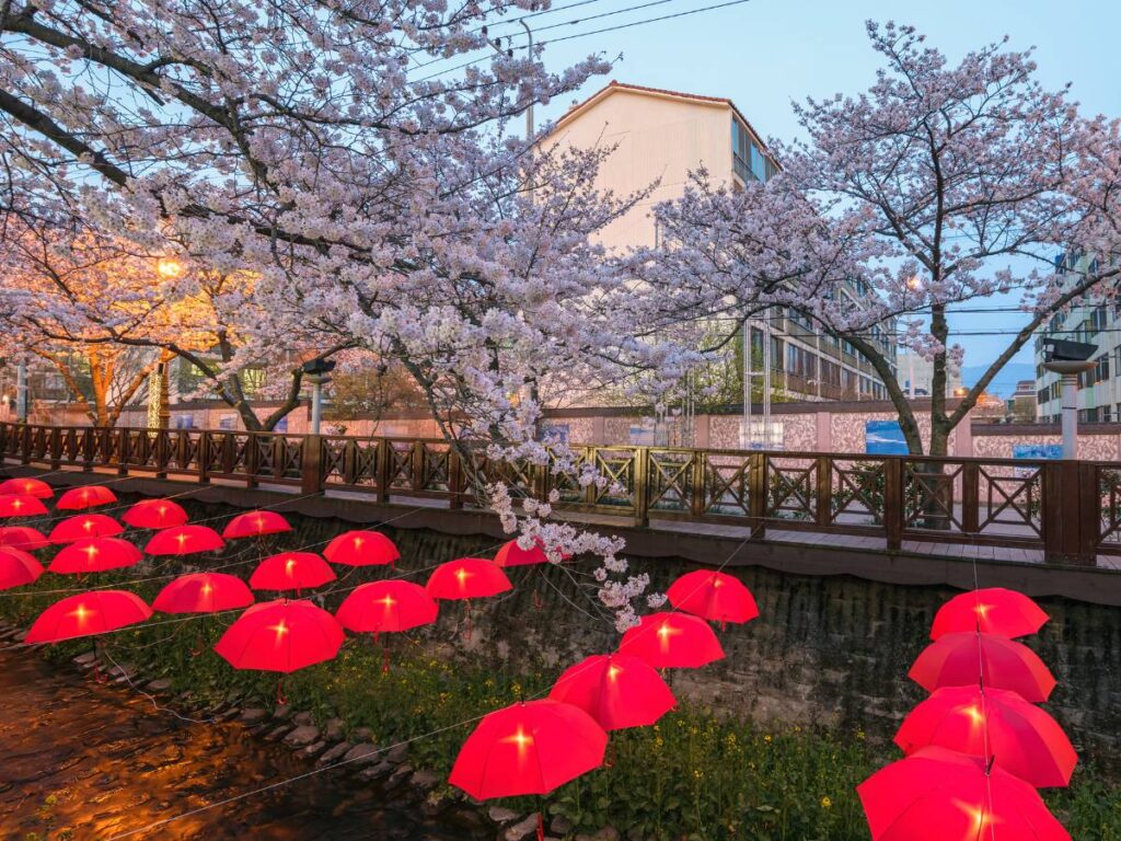 벚꽃 성지&amp;#44; 진해 군항제! 경화역&bull;여좌천 필수 코스 가이드