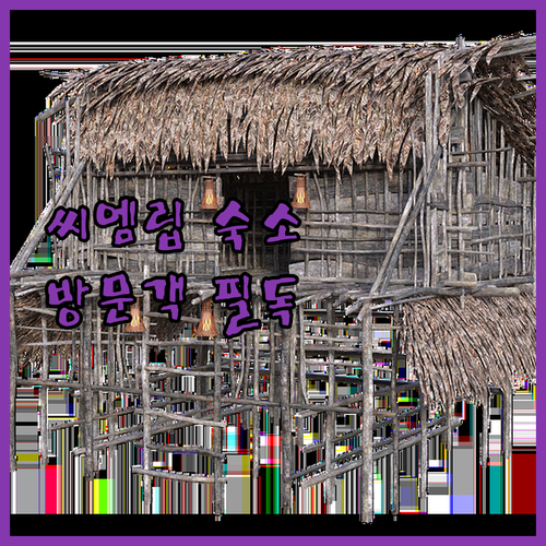 앙코르와트 방문객 필독 씨엠립 숙소 