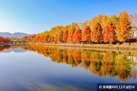 단풍절정시기