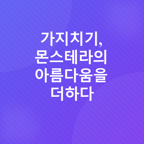 몬스테라 키우기_6