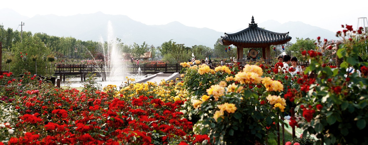 곡성장미세계축제