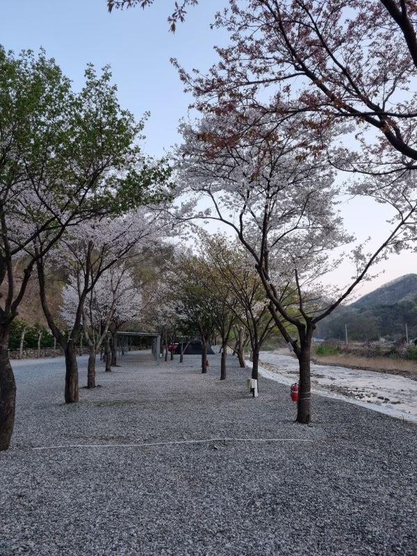 캠핑장_전경