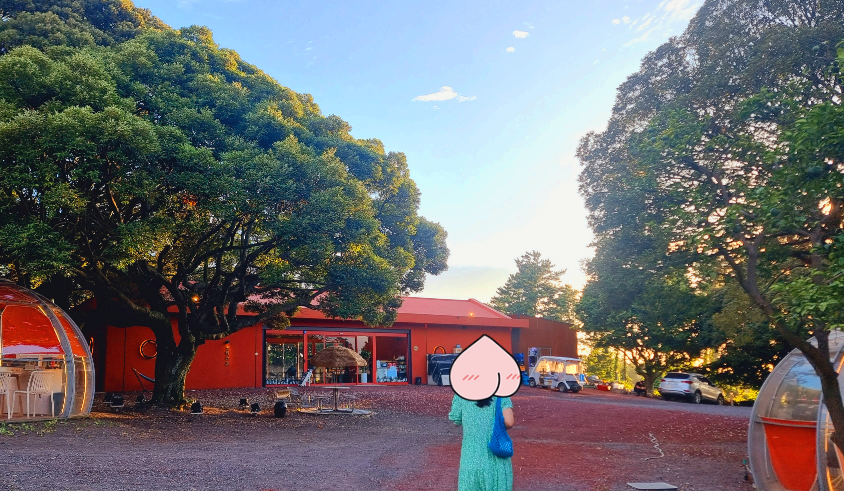 제주도 블로비 포레스트 전경2