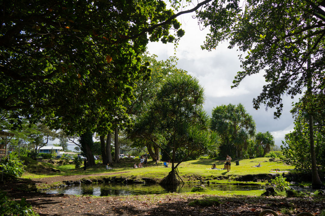 칼스미스 비치 공원 바다수영