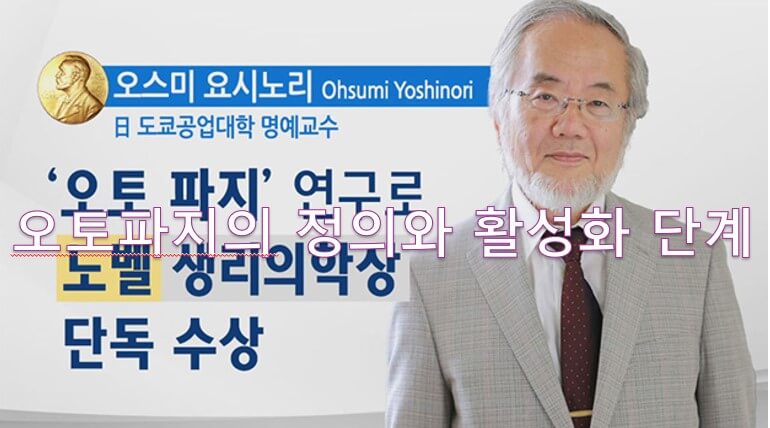 오토파지 창시자 오스미 요소노리 교수