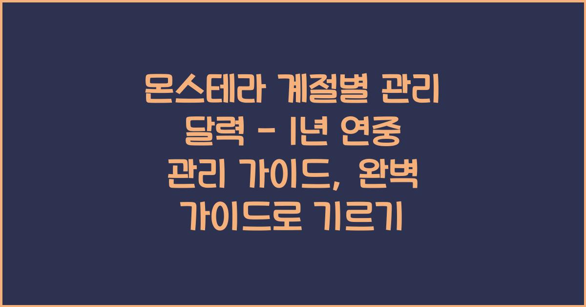 몬스테라 계절별 관리 달력 - 1년 연중 관리 가이드