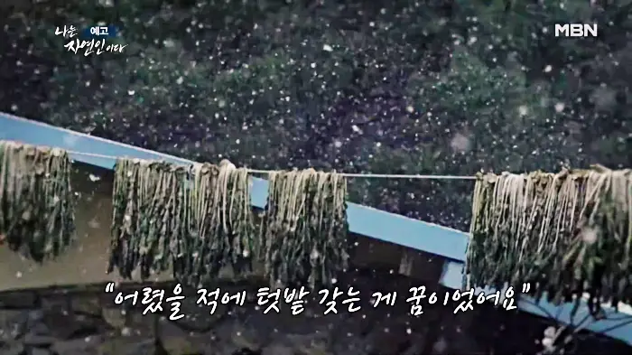 나는-자연인이다-윤택