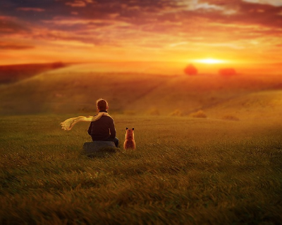 어린왕자 관련 이미지