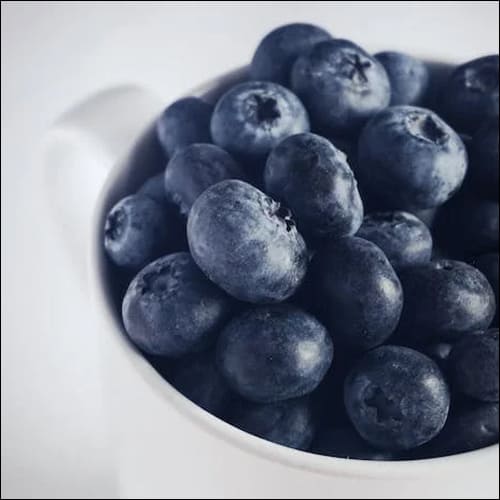 짙은 색의 블루베리