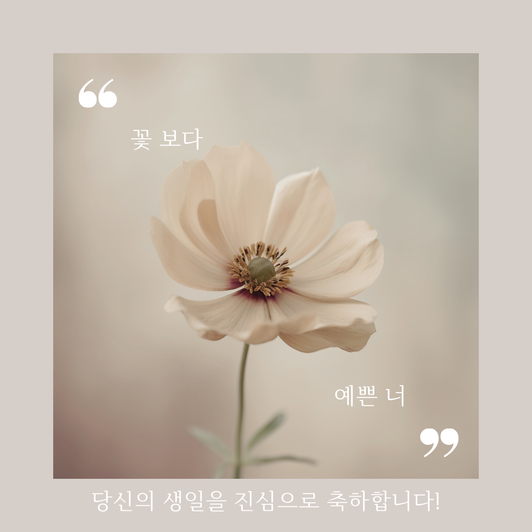 .생일 축하 메세지 꽃다말 이미지 모음