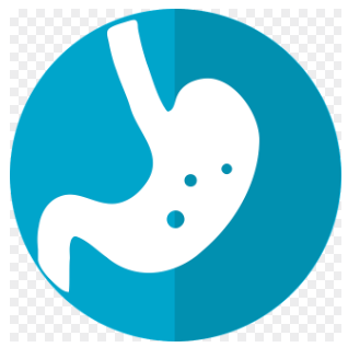 췌장암 초기증상 소화기 장애