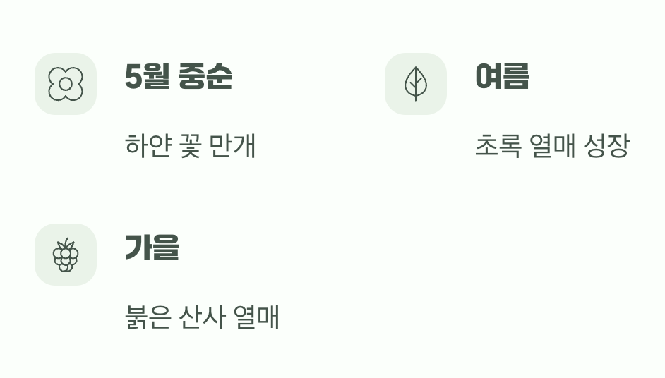 꽃이 지고 난 뒤, 또 다른 시작