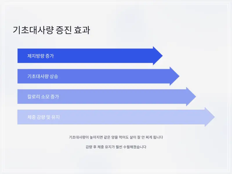 다이어트보조제-추천-7_