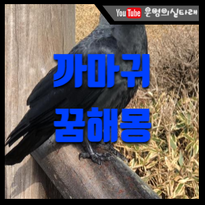 썸네일 사진