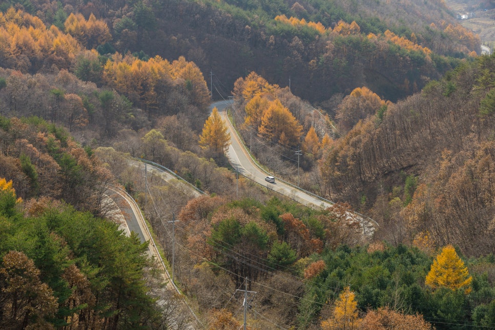 가을단풍드라이브