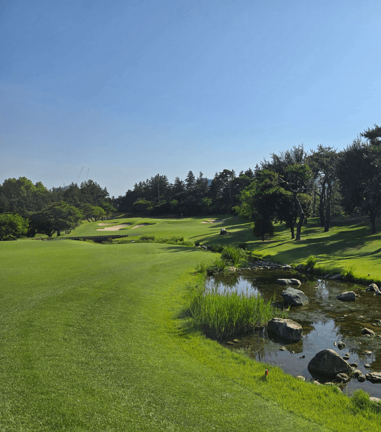 고밀도 잔디로된 페어웨이