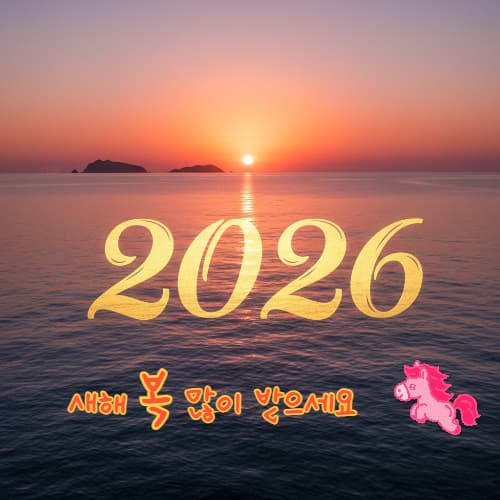 요알못 필독! 실패 없는 떡국 끓이기 비법과 지역별 별미 추천