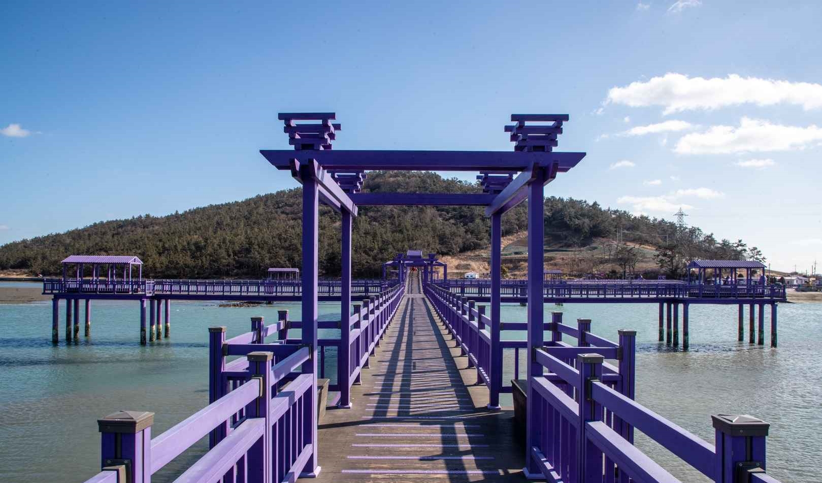 신안 퍼플섬 퍼플교