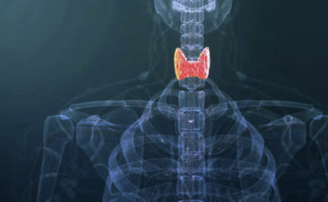 갑상선 기능저하증 증상 좋은 음식 수치 등 알아보기 (24년 Ver)