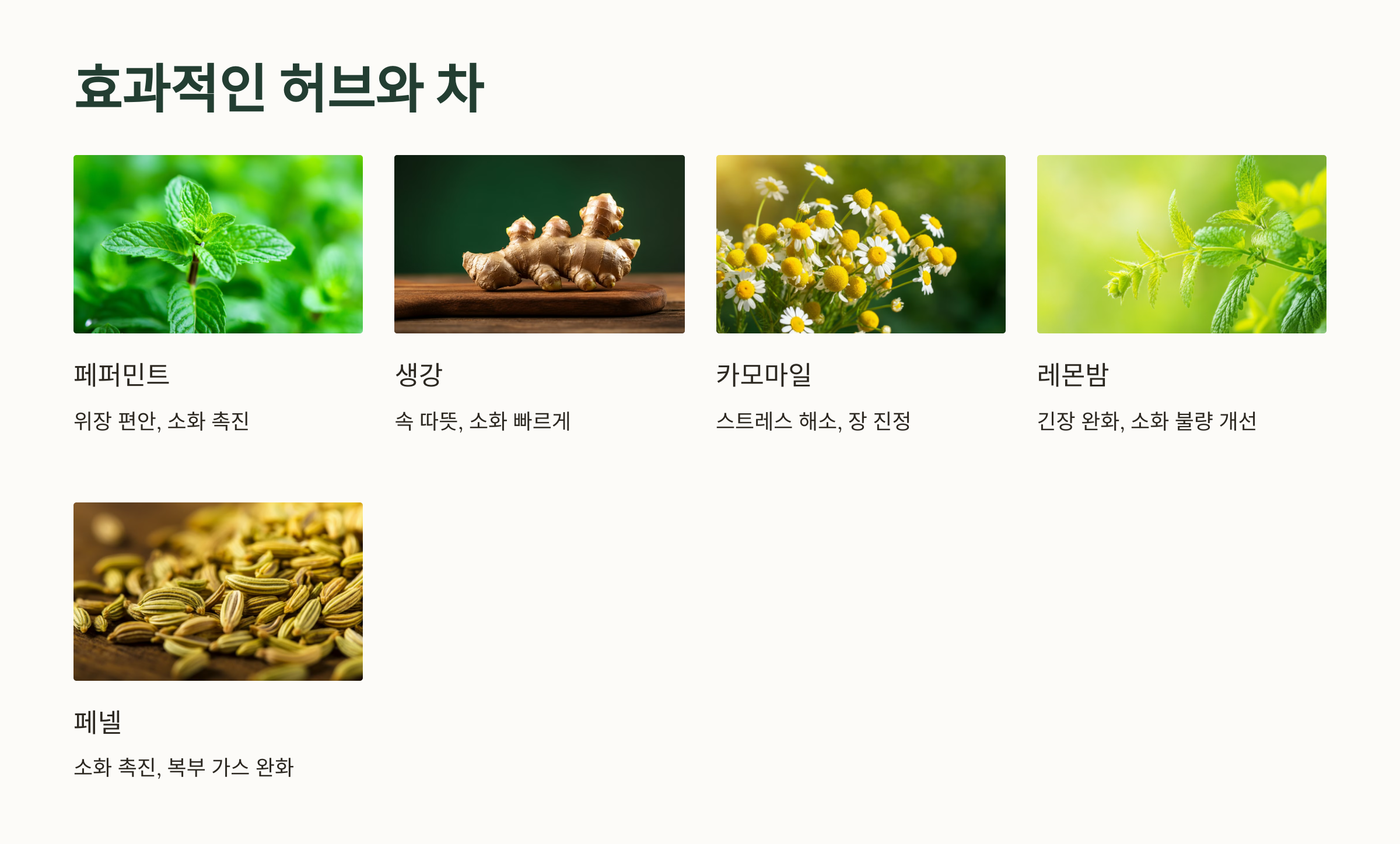 소화를 돕는 허브와 차의 종류