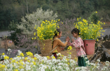 삼대가 함께 즐기는 봄 가족 축제 여행 (2025년, 1박 2일)