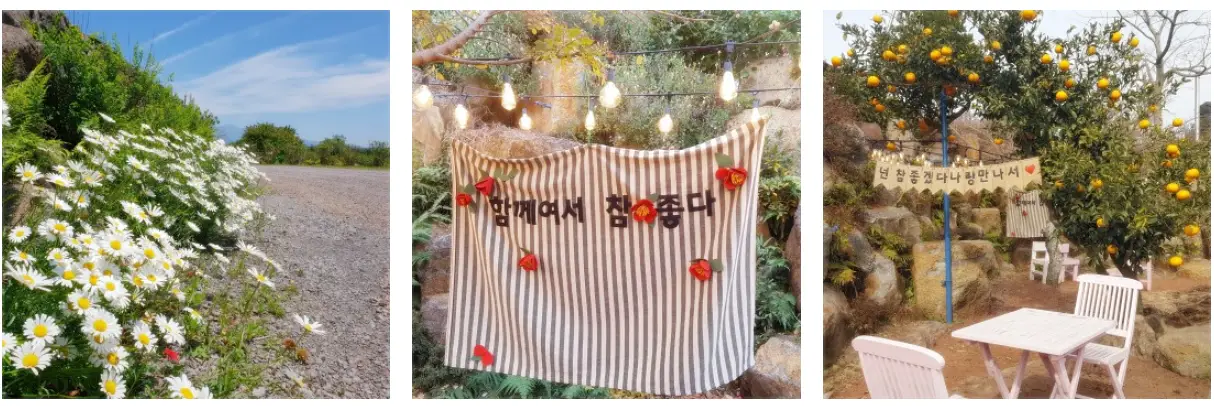 마노르블랑 포토존